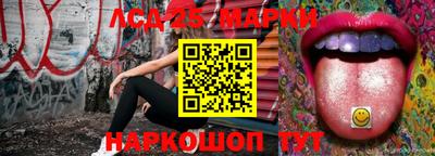 гидра Гатчина