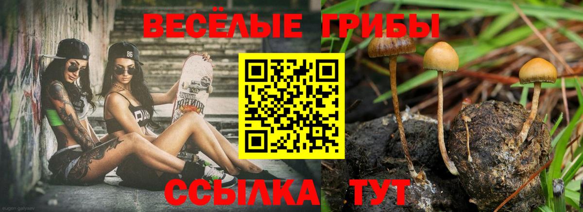 где продают   Галлюциногенные грибы Magic Shrooms  Вход с VPN  Галлюциногенные грибы мицелий  Минусинск 